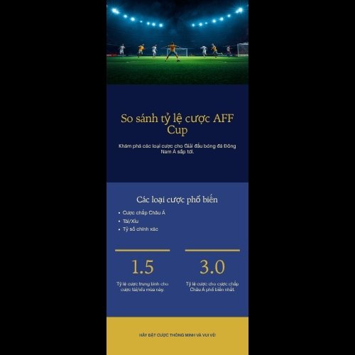 Infographic so sanh cac loai keo AFF Cup tai AO88