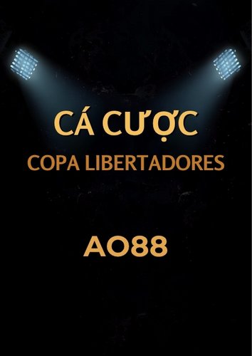 Minh hoa cac loai keo ca cuoc Copa Libertadores tai AO88