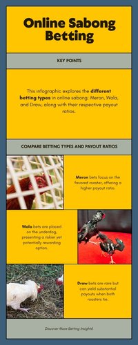 Infographic so sanh cac loai cuoc Meron Wala Draw trong Sabong tai AO88
