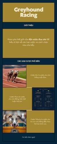 Infographic cac loai cuoc dua cho tai AO88