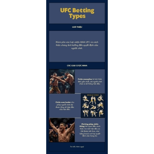 Infographic so sanh cac loai keo MMA UFC tai AO88